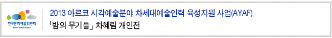 2013 아르코 시각예술분야 차세대예술인력 육성지원 사업(AYAF)『밤의 무기들』차혜림 개인전
