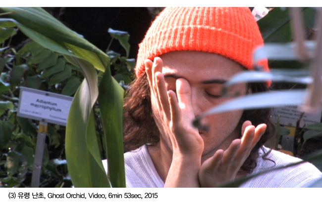 유령 난초, Ghost Orchid, Video, 6min 53sec, 2015