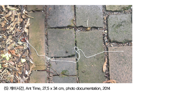  개미시간, Ant Time, 27.5 x 34 cm, photo documentation, 2014 