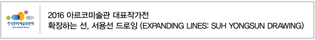 2016 아르코미술관 대표작가전, 확장하는 선, 서용선 드로잉