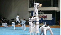 국제태권도연합 ‘태권도 시범단’ 사진