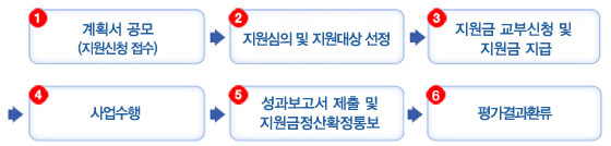 1.계획서 공모, 2.지원심의 및 지원대상 선정, 3.지원금 교부신청 및 지원금 지급, 4.사업수행, 5. 성과보고서 제출 및 지원금정산확정통보, 6.평가결과환류