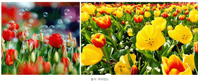 경기 봄나들이 떠나자