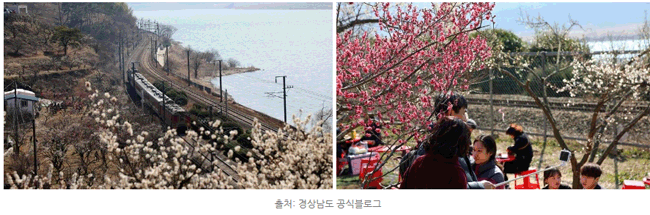 경남 봄나들이 떠나자