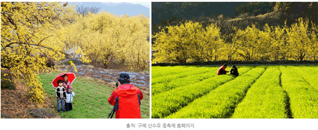 전남 봄나들이 떠나자