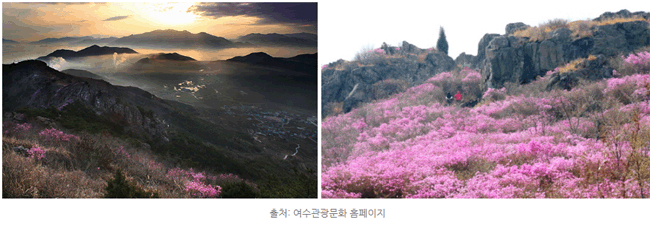 전남 봄나들이 떠나자