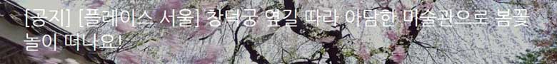  [플레이스 서울] 창덕궁 옆길 따라 아담한 미술관으로 봄꽃놀이 떠나요!  