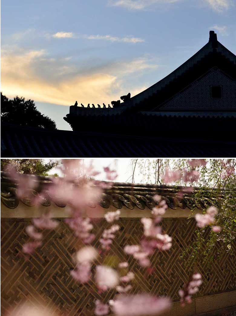 창덕궁