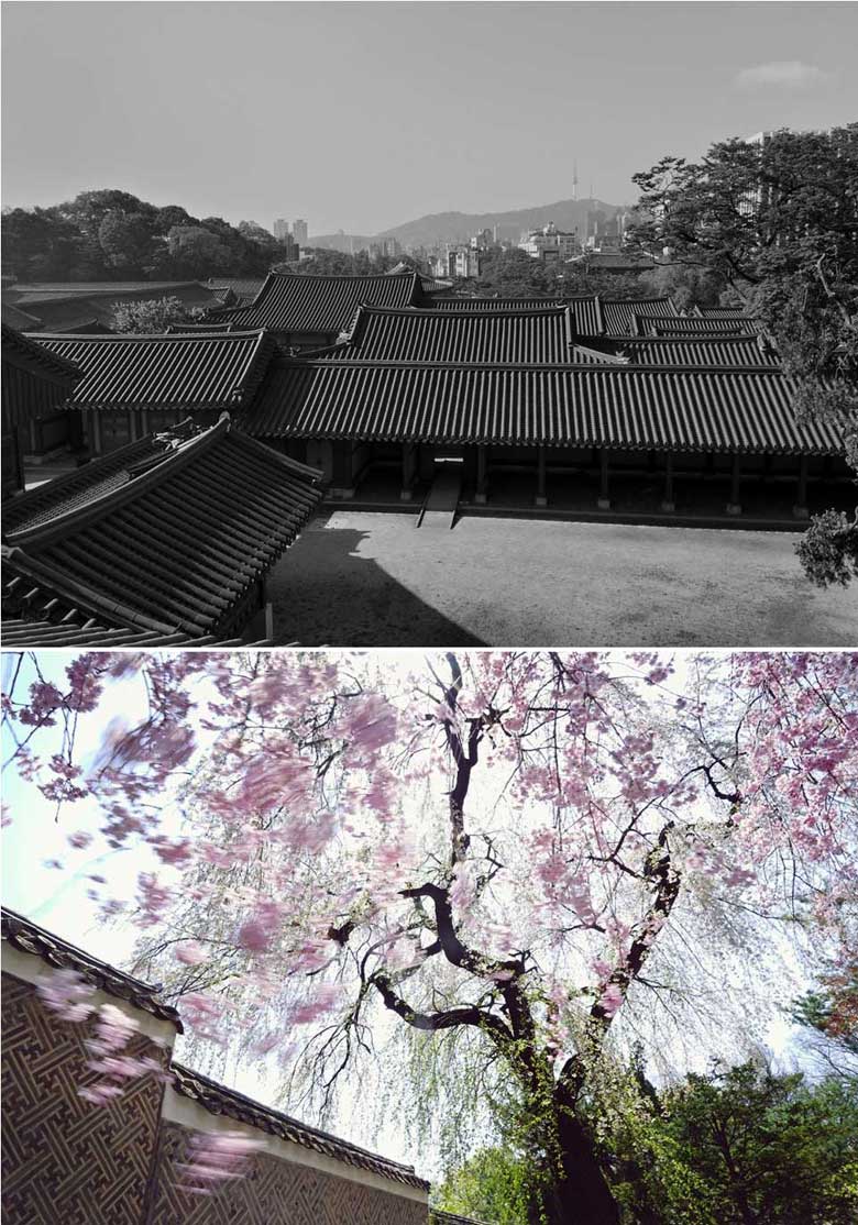 창덕궁