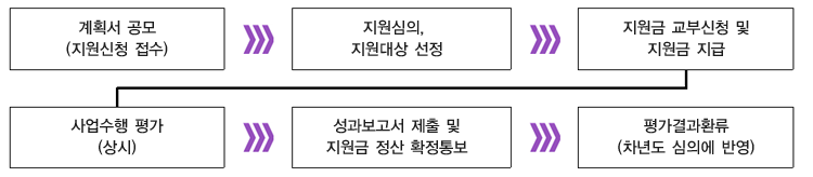 계획서 공모(지원신청 접수), 지원심의 지원대상 선정, 지원금 교부신청 및 지원금 지급, 사업수행 평가 (상시), 성과보고서 제출 및 지원금 정산 확정통보, 평가결과환류 (차년도 심의에 반영)