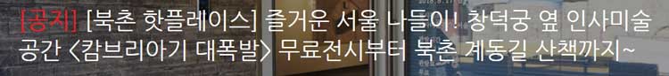 [북촌 핫플레이스] 즐거운 서울 나들이! 창덕궁 옆 인사미술공간 [캄브리아기 대폭발] 무료전시부터 북촌 계동길 산책까지~  