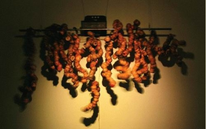 이탈02