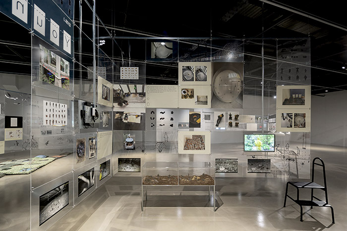 Young Yena — 30 Million Years Under the Pavilion