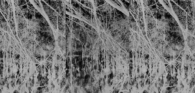 〈낙진하는 밤〉, 2025, 스크린 프린트, 100×210cm.