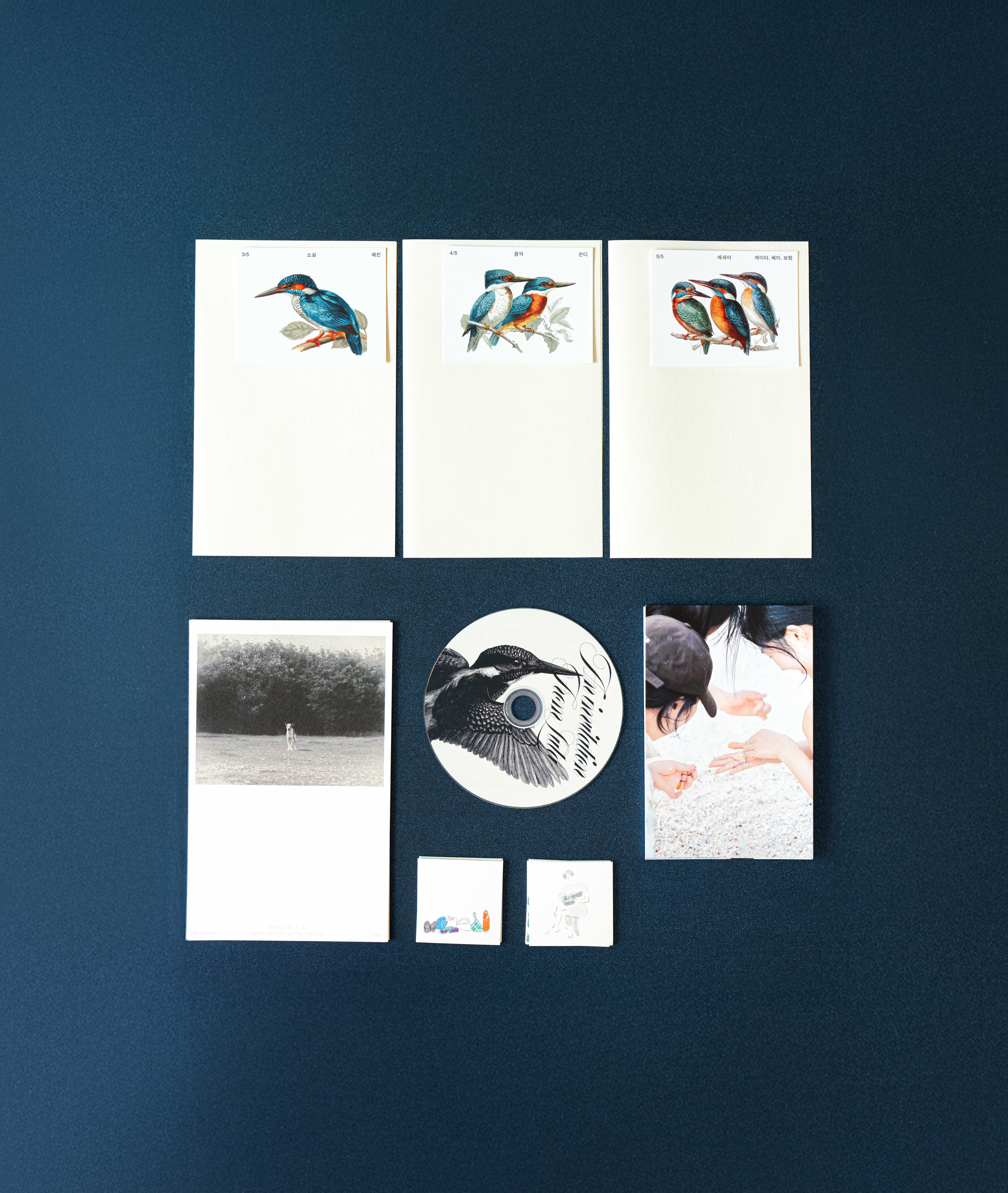 로타에서 온 초대장