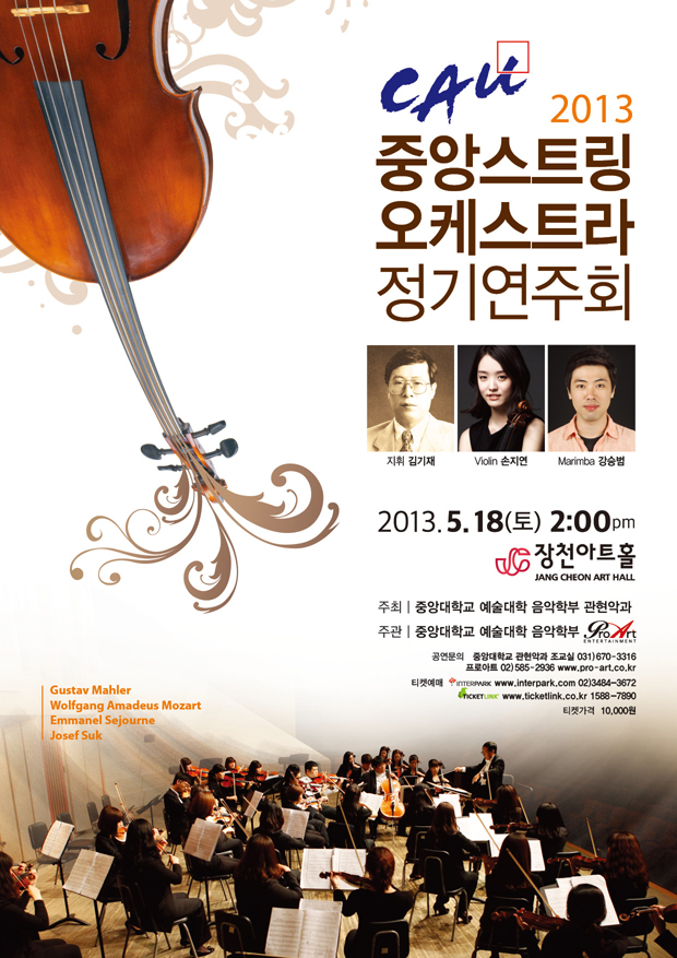 2013 중앙스트링 오케스트라 정기연주회 이미지
