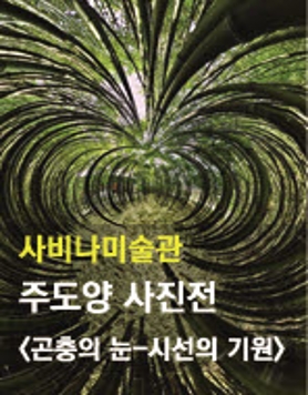 [사비나미술관] 주도양 사진전 곤충의 눈-시선의기원 전시소식 및 1월 문화가 있는날 아티스트 토크, 뮤지엄 콘서트 안내