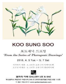 구성수 '포토제닉 드로잉'展