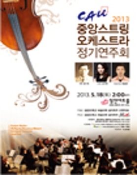 2013 중앙스트링 오케스트라 정기연주회